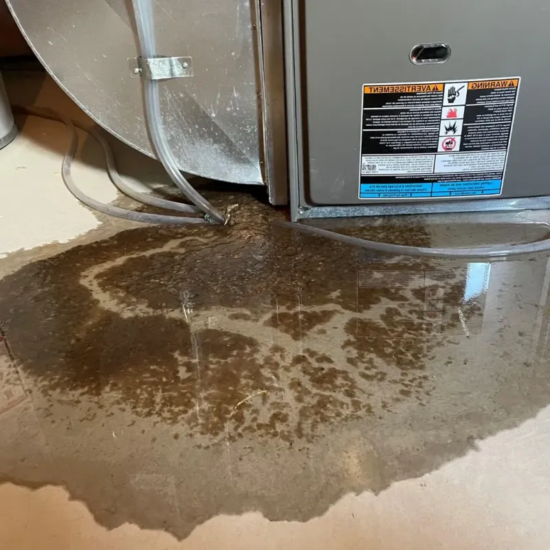 Pipe Burst and Leak Restoration in Ada County, ID